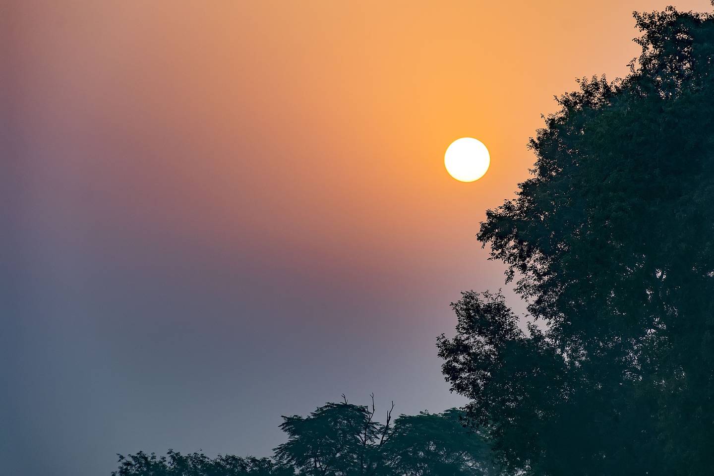 Sialkot