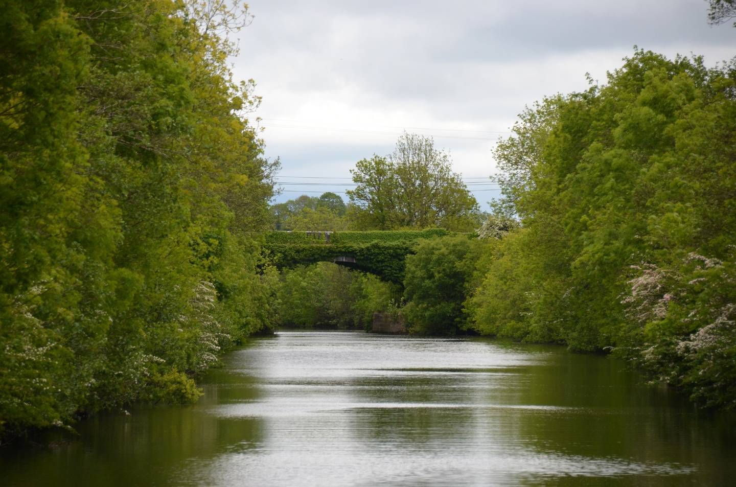 Shannon, County Clare